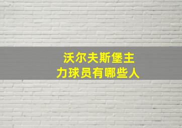 沃尔夫斯堡主力球员有哪些人