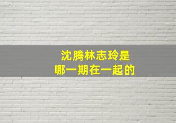 沈腾林志玲是哪一期在一起的