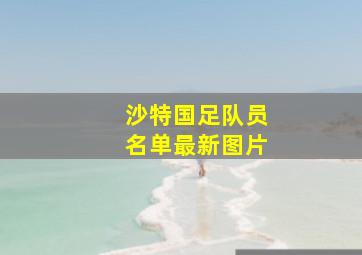 沙特国足队员名单最新图片