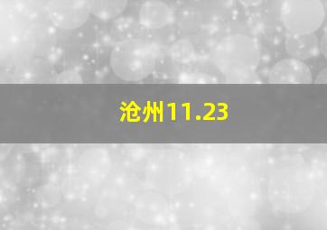 沧州11.23