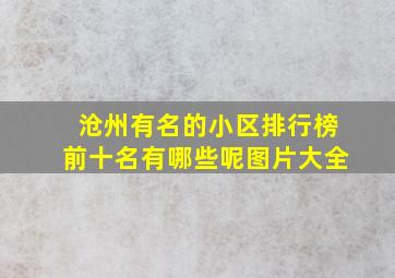 沧州有名的小区排行榜前十名有哪些呢图片大全