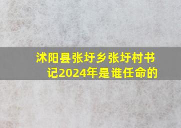 沭阳县张圩乡张圩村书记2024年是谁任命的