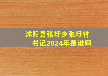 沭阳县张圩乡张圩村书记2024年是谁啊