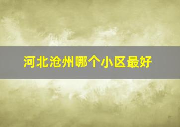 河北沧州哪个小区最好