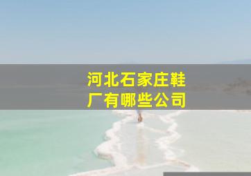 河北石家庄鞋厂有哪些公司