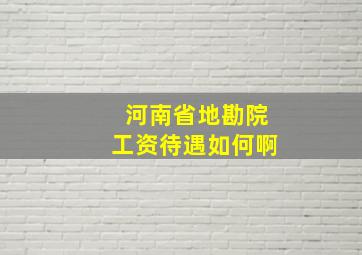 河南省地勘院工资待遇如何啊