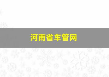 河南省车管网