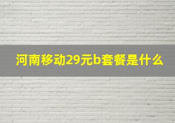 河南移动29元b套餐是什么