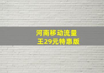 河南移动流量王29元特惠版