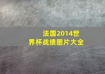 法国2014世界杯战绩图片大全