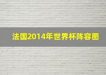 法国2014年世界杯阵容图