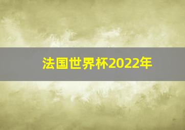 法国世界杯2022年