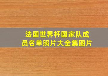 法国世界杯国家队成员名单照片大全集图片