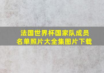 法国世界杯国家队成员名单照片大全集图片下载