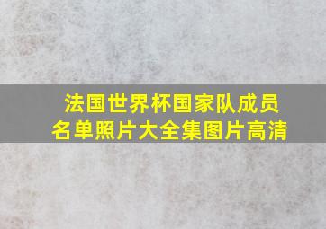 法国世界杯国家队成员名单照片大全集图片高清