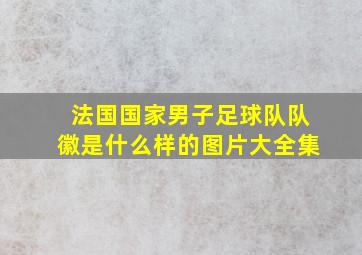 法国国家男子足球队队徽是什么样的图片大全集