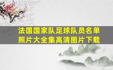 法国国家队足球队员名单照片大全集高清图片下载