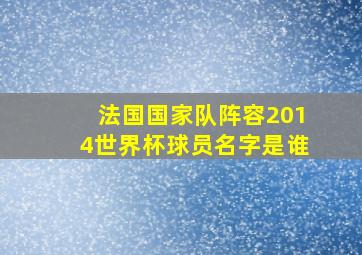 法国国家队阵容2014世界杯球员名字是谁