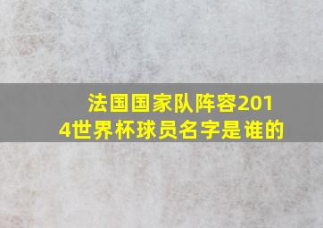 法国国家队阵容2014世界杯球员名字是谁的