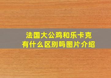 法国大公鸡和乐卡克有什么区别吗图片介绍