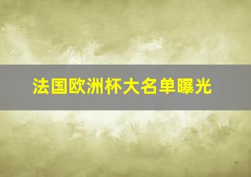 法国欧洲杯大名单曝光