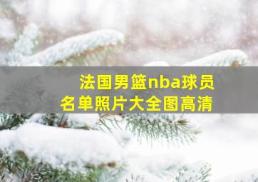 法国男篮nba球员名单照片大全图高清