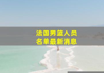 法国男篮人员名单最新消息