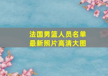 法国男篮人员名单最新照片高清大图