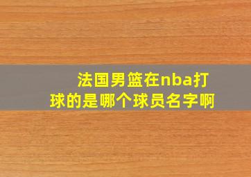 法国男篮在nba打球的是哪个球员名字啊