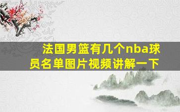 法国男篮有几个nba球员名单图片视频讲解一下