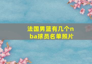 法国男篮有几个nba球员名单照片