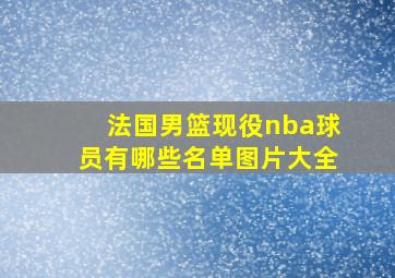 法国男篮现役nba球员有哪些名单图片大全