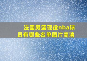 法国男篮现役nba球员有哪些名单图片高清