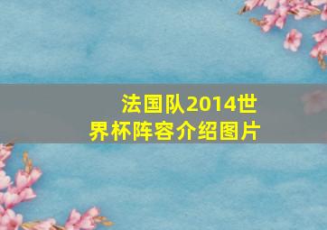 法国队2014世界杯阵容介绍图片