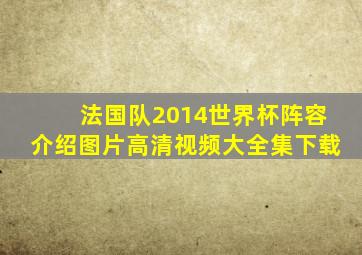 法国队2014世界杯阵容介绍图片高清视频大全集下载