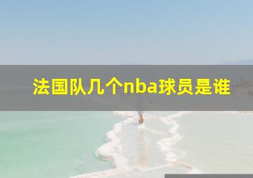 法国队几个nba球员是谁