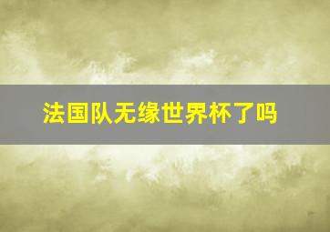 法国队无缘世界杯了吗