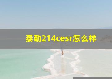 泰勒214cesr怎么样