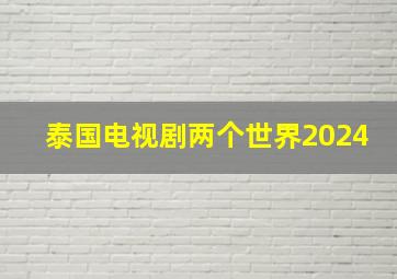 泰国电视剧两个世界2024