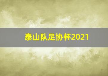 泰山队足协杯2021