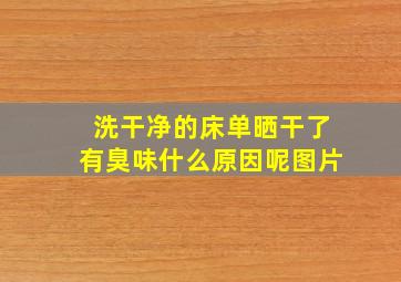 洗干净的床单晒干了有臭味什么原因呢图片