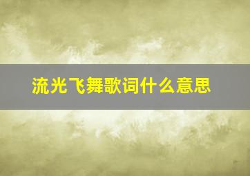 流光飞舞歌词什么意思