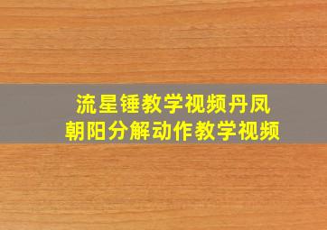 流星锤教学视频丹凤朝阳分解动作教学视频