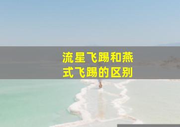 流星飞踢和燕式飞踢的区别