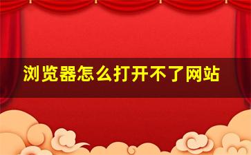 浏览器怎么打开不了网站