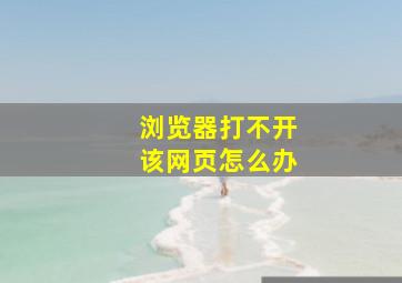 浏览器打不开该网页怎么办