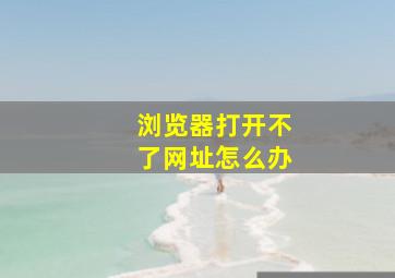 浏览器打开不了网址怎么办