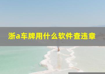 浙a车牌用什么软件查违章