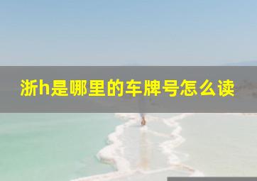 浙h是哪里的车牌号怎么读