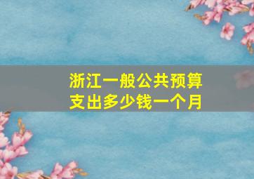 浙江一般公共预算支出多少钱一个月